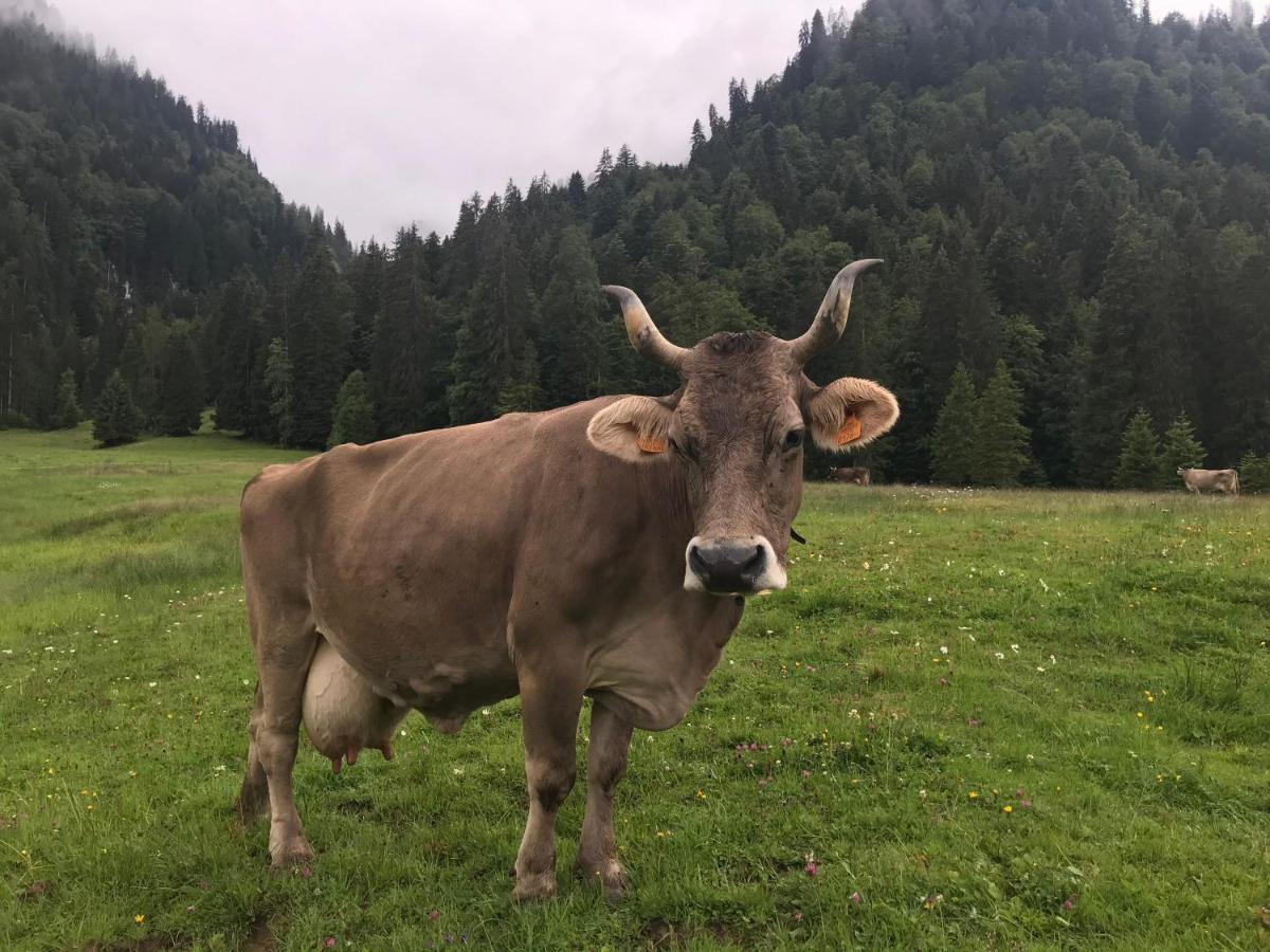 Kleine Ferienwohnung Am Rande Der Wildnis Sibratsgfäll エクステリア 写真