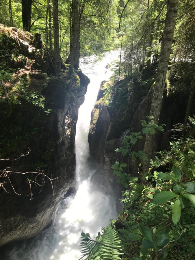 Kleine Ferienwohnung Am Rande Der Wildnis Sibratsgfäll エクステリア 写真