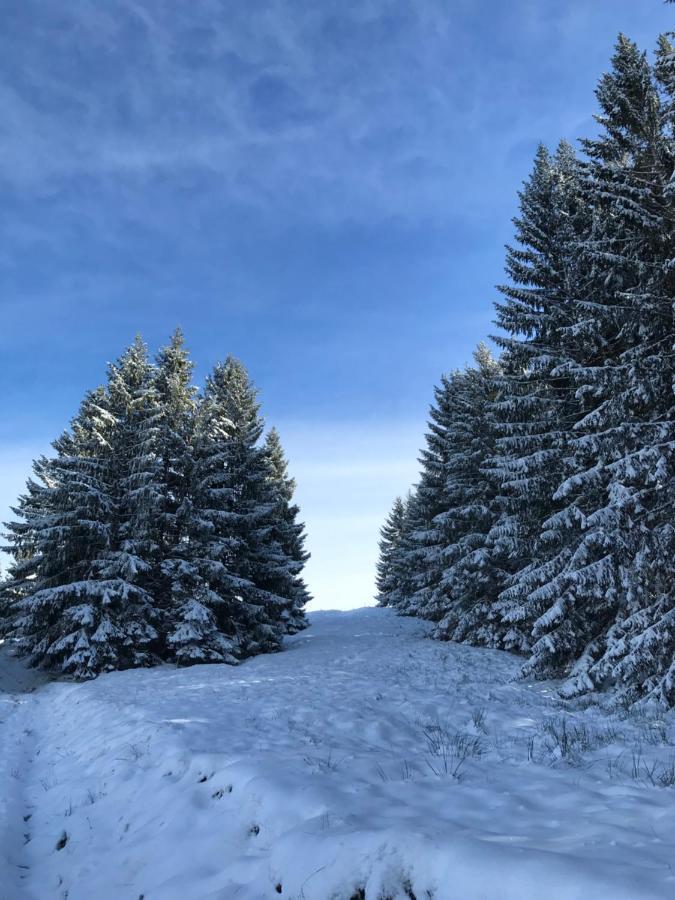 Kleine Ferienwohnung Am Rande Der Wildnis Sibratsgfäll エクステリア 写真