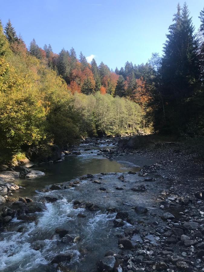Kleine Ferienwohnung Am Rande Der Wildnis Sibratsgfäll エクステリア 写真